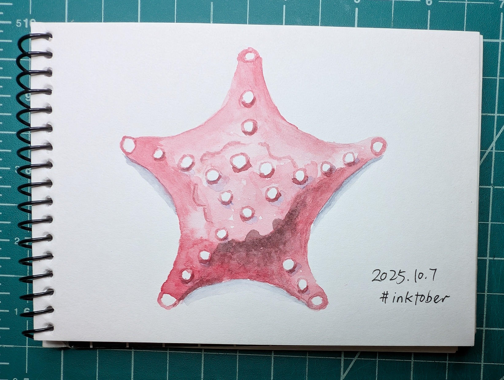 Watercolor illustration of a red starfish on a small ringbound notebook, photographed against a green ruled mat.